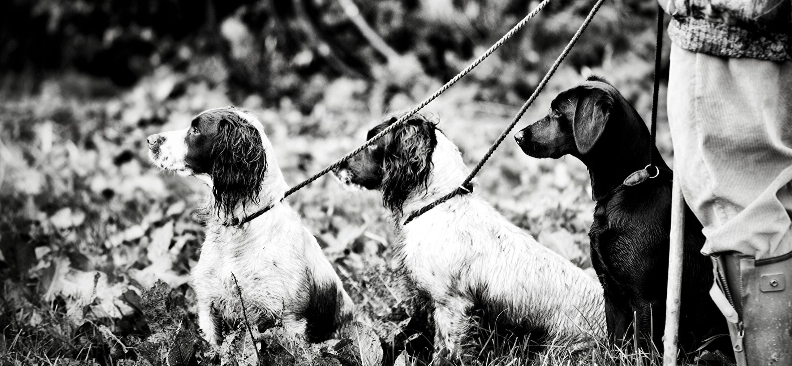 Hunters Natural Our Story | Hunters Natural